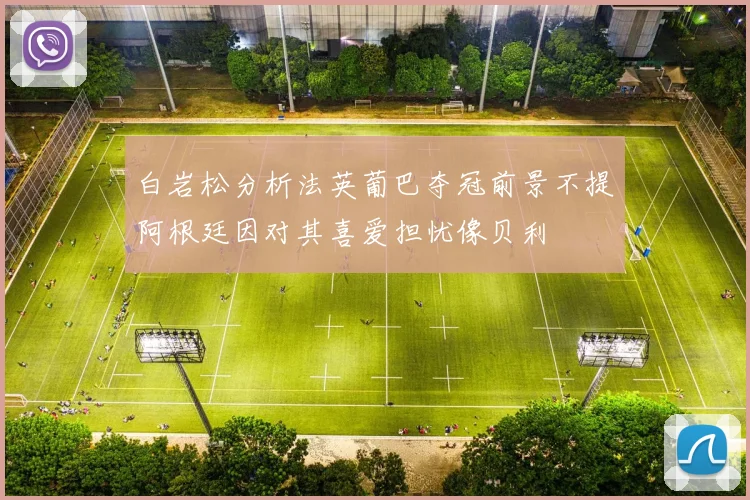 白岩松分析法英葡巴夺冠前景不提阿根廷因对其喜爱担忧像贝利