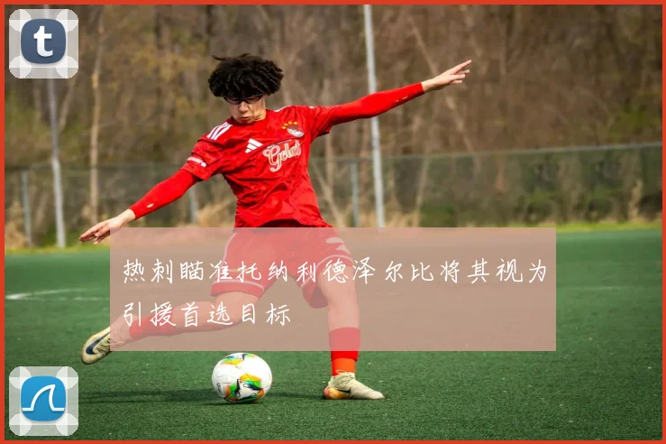 热刺瞄准托纳利德泽尔比将其视为引援首选目标